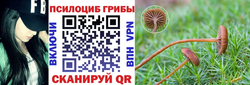 Псилоцибиновые грибы Psilocybine cubensis  Таштагол 